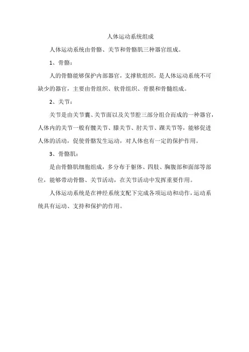 人体运动系统组成