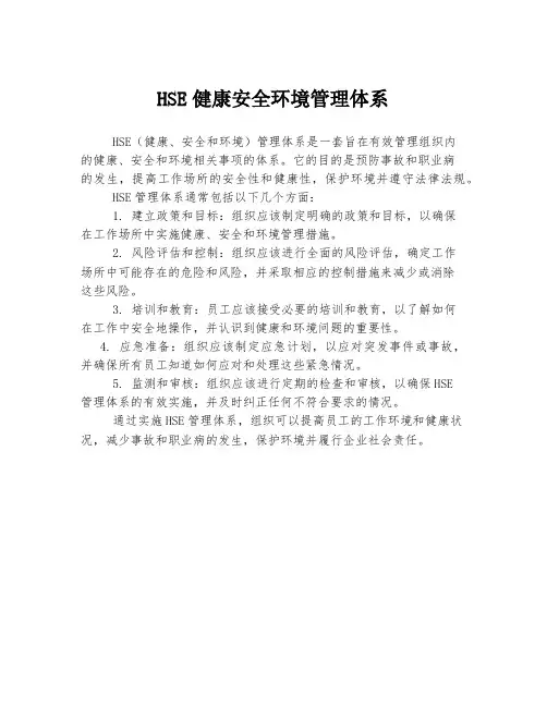 hse健康安全环境管理体系