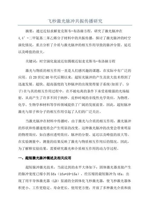飞秒激光脉冲共振传播研究