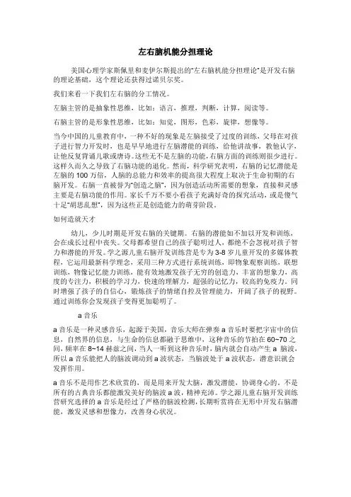 左右脑机能分担理论