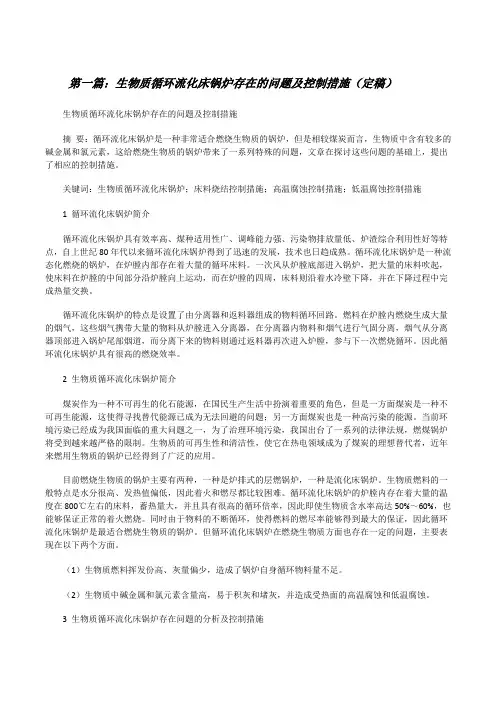 生物质循环流化床锅炉存在的问题及控制措施(定稿)[修改版]