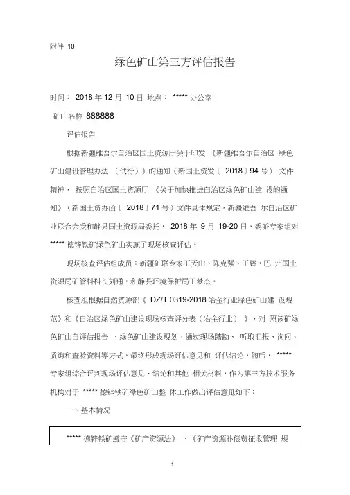 第三方评估报告(某某矿业)