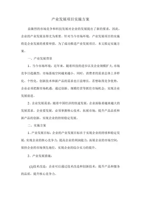 产业发展项目实施方案