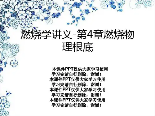燃烧学讲义-第4章燃烧物理基础
