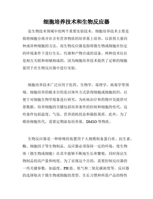 细胞培养技术和生物反应器