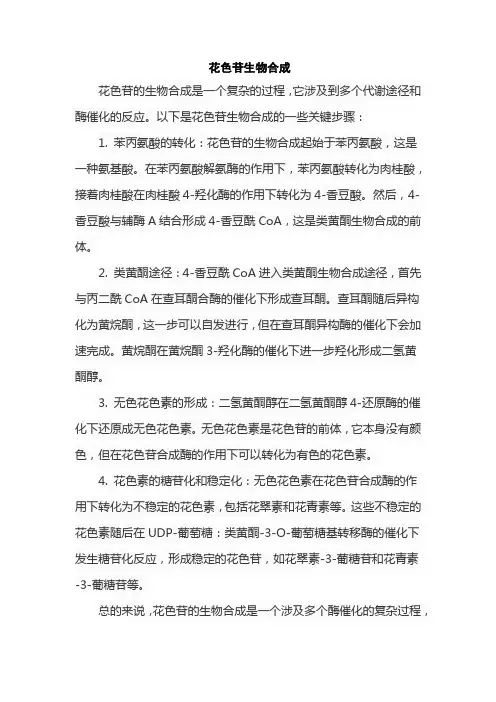 花色苷生物合成