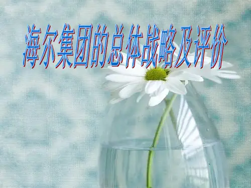 海尔集团运营管理PPT课件