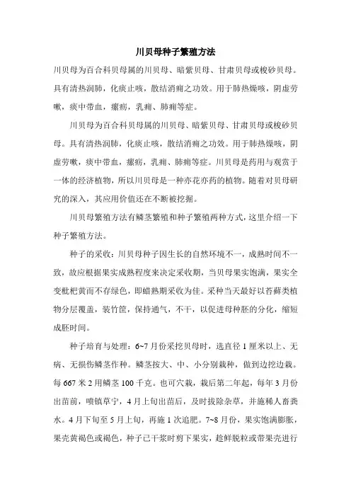 川贝母种子繁殖方法