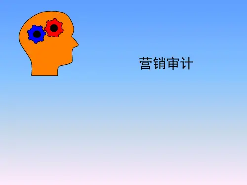 营销推广之企业如何进行营销审计来控制营销计划良性发展【营销宝典十九】