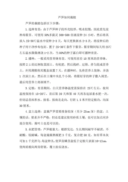 芦笋如何栽植
