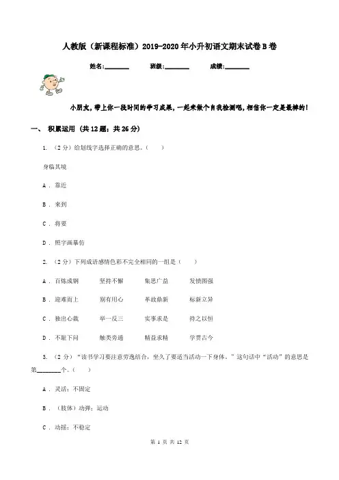 人教版(新课程标准)2019-2020年小升初语文期末试卷B卷