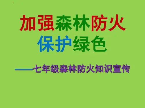 中学生安全教育系列森林防火教育班会 ppt课件