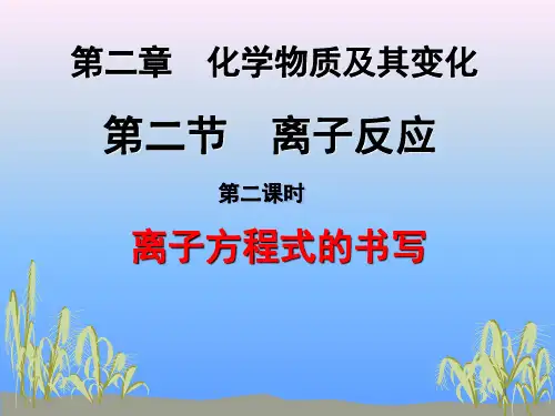 离子方程式书写ppt课件