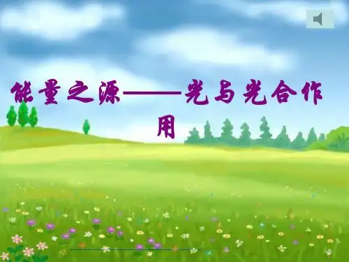 光合作用2