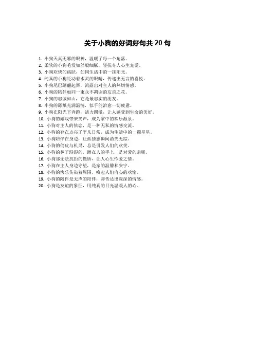 关于小狗的好词好句