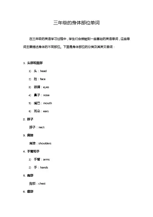 三年级的身体部位单词。