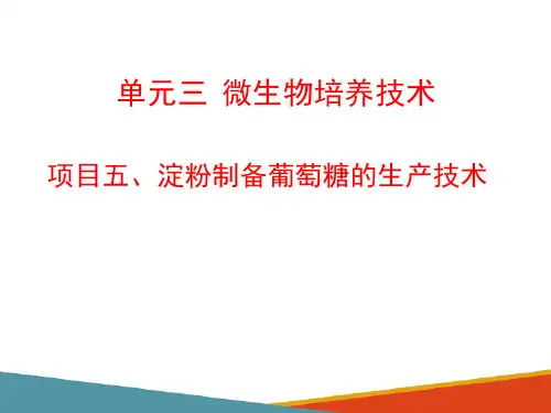 工业微生物培养技术—淀粉水解糖的制备