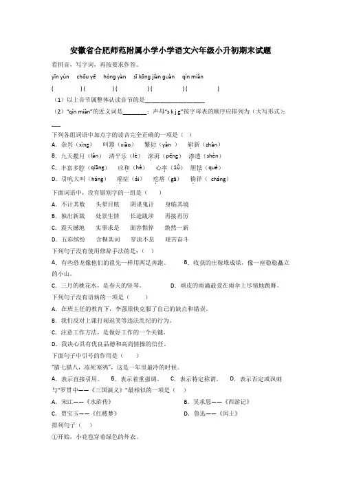 安徽省合肥师范附属小学小学语文六年级小升初期末试题