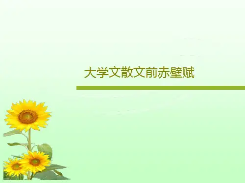 大学文散文前赤壁赋共20页
