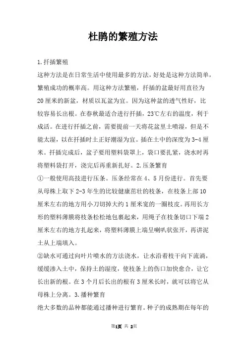 杜鹃的繁殖方法 
