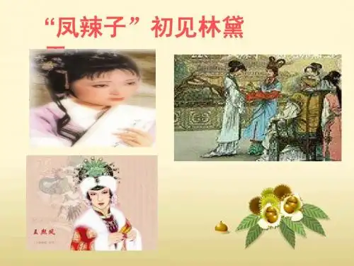 22  3凤辣子初见林黛玉