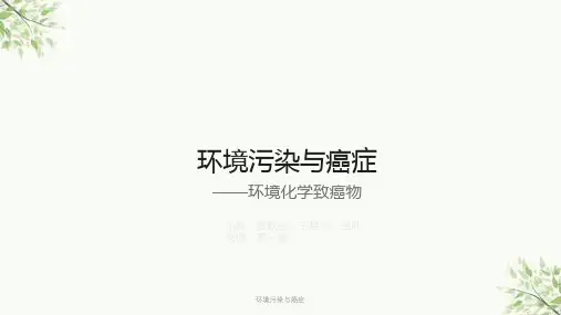 环境污染与癌症ppt课件