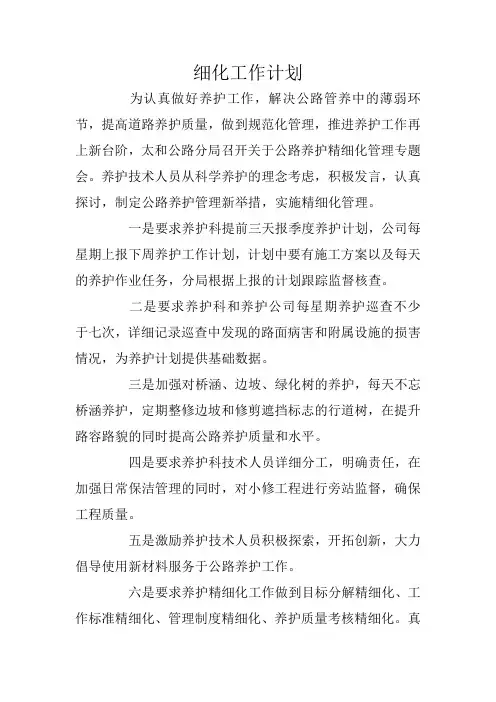 细化工作计划