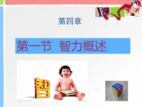 专题四 当代智力理论与智能培养