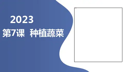 第7课种植蔬菜(课件)皖教版四年级下册综合实践活动(1)