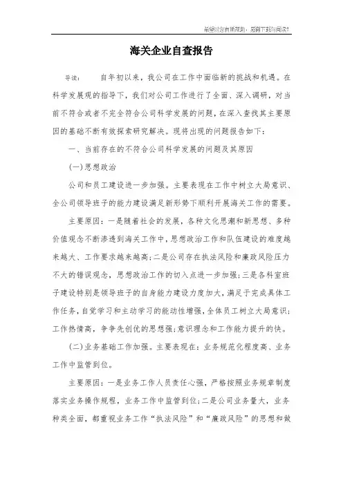 海关企业自查报告