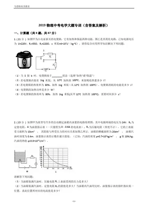 2019物理中考电学大题专训(含答案及解析)