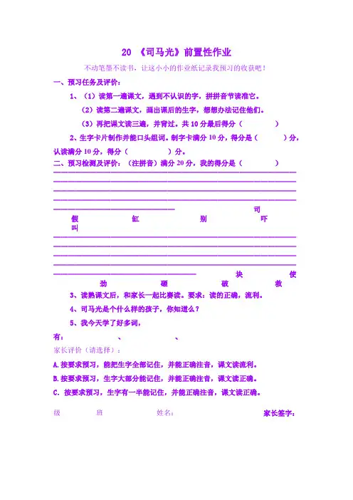 前置性作业评价表