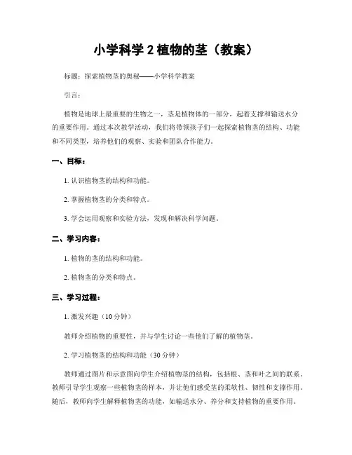 小学科学2植物的茎(教案)