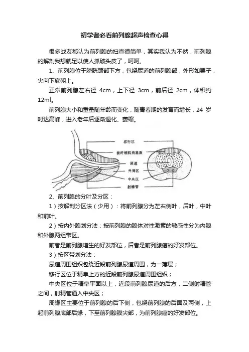 初学者必看前列腺超声检查心得
