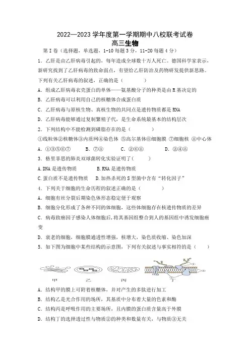 天津市八校联考2022-2023学年高三上学期期中考试生物试题(含答案)