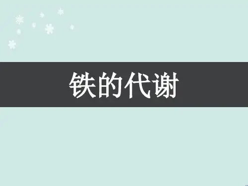 铁的代谢  ppt课件