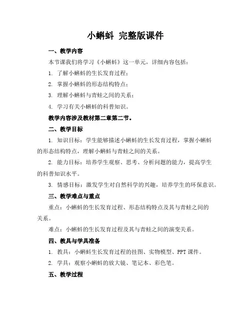 小蝌蚪完整版课件