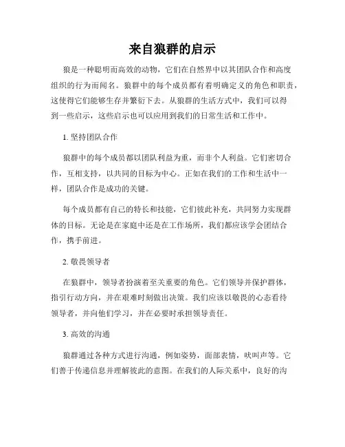 来自狼群的启示