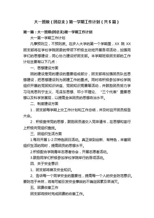大一班级（团总支）第一学期工作计划（共5篇）