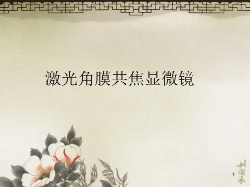 激光角膜共焦显微镜PPT课件