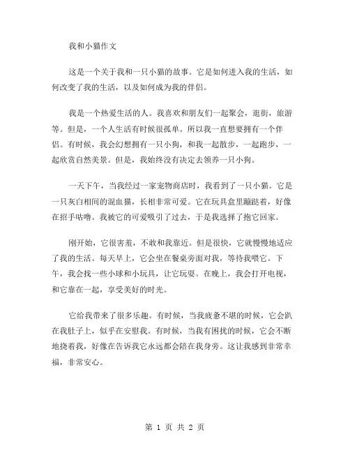 我和小猫作文范文