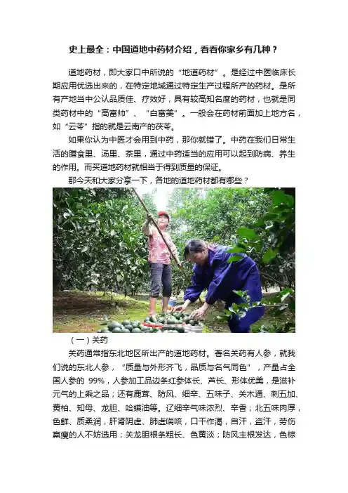 史上最全：中国道地中药材介绍，看看你家乡有几种？