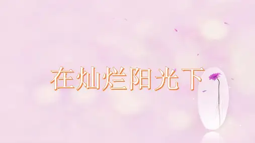 《在灿烂阳光下》课件