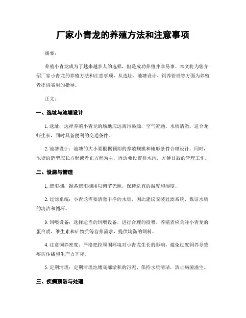 厂家小青龙的养殖方法和注意事项