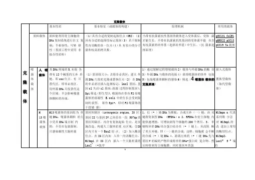 克隆载体与表达载体