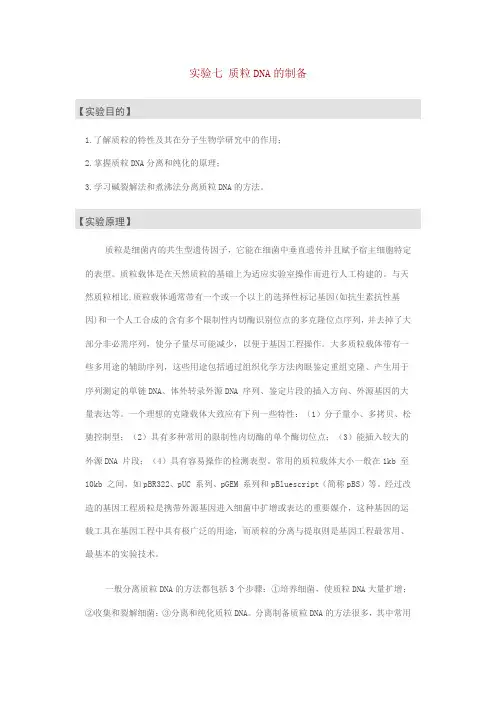 质粒制备