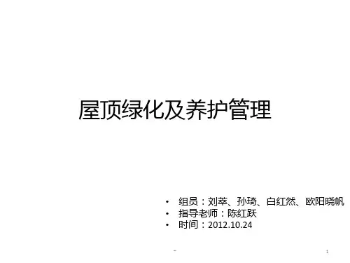 屋顶绿化PPT课件
