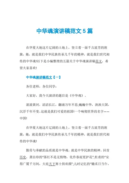中华魂演讲稿范文5篇