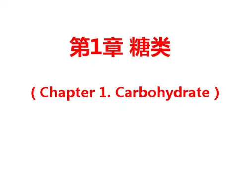 第一章糖类2012