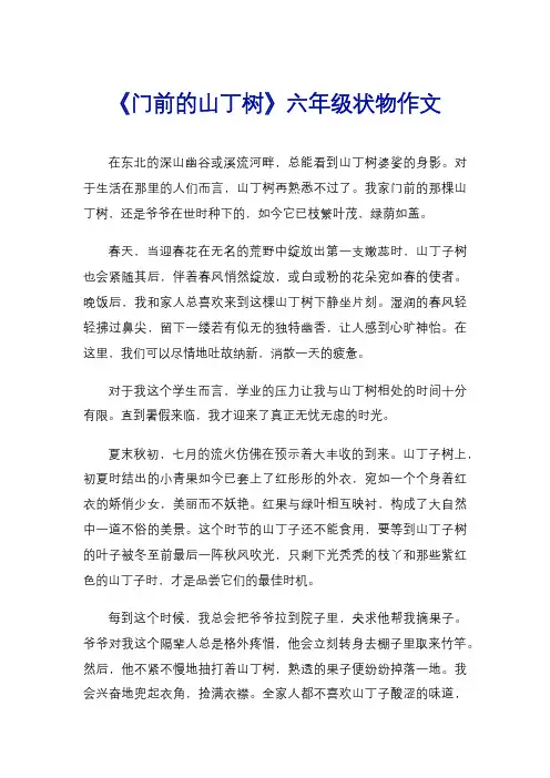 《门前的山丁树》六年级状物作文